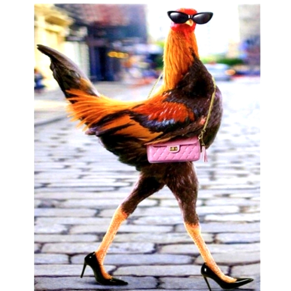 "The Sexy Chicken" Share Show!!🐔🌺🐔🌺🐔🌺